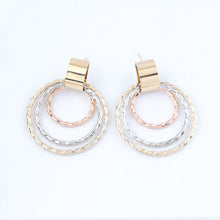 Cargar imagen en el visor de la galería, Arete Tricolor Argolla